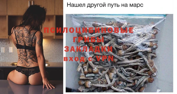 сатива Верхнеуральск