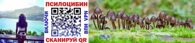 Галлюциногенные грибы MAGIC MUSHROOMS  Купить где  Апшеронск 